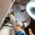 Imagem 1 da empresa AS ALMEIDAS PODOLOGIA/ESTÉTICA FACIAL Clínicas de Podologia em Rio De Janeiro RJ