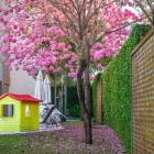 Imagem 1 da empresa BEST WESTERN SUITES LE JARDIN CALDAS NOVAS Hotéis em Caldas Novas GO