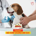 Imagem 5 da empresa CASA DOS CRIADORES - PET CENTER Pet Shop em João Pessoa PB