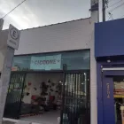 Imagem 3 da empresa CICCONE CASA E JARDIM Ventiladores - Lojas em Praia Grande SP