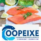 Imagem 3 da empresa COOPEIXE ATACADO E DISTRIBUIDOR DE PESCADOS Peixes e Pescados em Porto Alegre RS