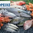 Imagem 5 da empresa COOPEIXE ATACADO E DISTRIBUIDOR DE PESCADOS Peixes e Pescados em Porto Alegre RS