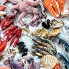 Imagem 6 da empresa COOPEIXE ATACADO E DISTRIBUIDOR DE PESCADOS Peixes e Pescados em Porto Alegre RS