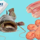 Imagem 8 da empresa COOPEIXE ATACADO E DISTRIBUIDOR DE PESCADOS Peixes e Pescados em Porto Alegre RS