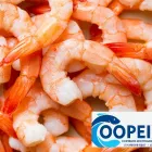 Imagem 9 da empresa COOPEIXE ATACADO E DISTRIBUIDOR DE PESCADOS Peixes e Pescados em Porto Alegre RS