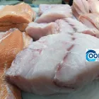 Imagem 10 da empresa COOPEIXE ATACADO E DISTRIBUIDOR DE PESCADOS Peixes e Pescados em Porto Alegre RS