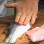 Imagem 13 da empresa COOPEIXE ATACADO E DISTRIBUIDOR DE PESCADOS Peixes e Pescados em Porto Alegre RS