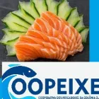 Imagem 16 da empresa COOPEIXE ATACADO E DISTRIBUIDOR DE PESCADOS Peixes e Pescados em Porto Alegre RS
