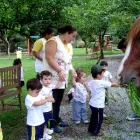 Imagem 5 da empresa ESCOLA RECRIAR EDUCAÇÃO INFANTIL Escolas Particulares em São Paulo SP