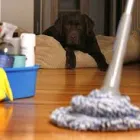 Imagem 6 da empresa FAXINA LIMPEZA HIGIENIZAÇÃO Manutenção Predial em Vila Velha ES