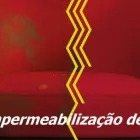 Imagem 3 da empresa FCRIVELA@GMAIL.COM Limpeza E Conservação em São Paulo SP