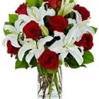 Imagem 1 da empresa FLORICULTURA VISAFLORES Flores em São Paulo Brasil