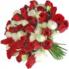 Imagem 5 da empresa FLORICULTURA VISAFLORES Flores em São Paulo Brasil