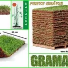 Imagem 2 da empresa FLORICULTURA YAMANAKA - MARCO Paisagismo em Belem Brasil