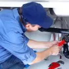 Imagem 2 da empresa FOX DEL SERVICE PORTARIA E LIMPEZA Zeladoria em São Paulo SP