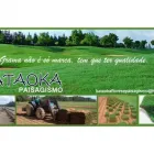 Imagem 1 da empresa GRAMA Plantas em Belém PA