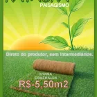 Imagem 2 da empresa GRAMA Plantas em Belém PA