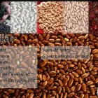 Imagem 4 da empresa GRUPO CINM (ARGENTINA - BRASIL) Laticínios em Manaus AM