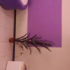 Imagem 3 da empresa HOTEL CANAL HUM SAMAMBAIA SUL Ventilador em Brasília DF