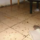 Imagem 7 da empresa IMUNIZADORA GUARANI Limpeza de Caixas de Água em Natal RN