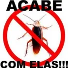 Imagem 2 da empresa IMUNIZADORA GUARANI Limpeza de Caixas de Água em Natal RN