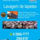 Imagem 4 da empresa IOGO CLEAN LAVANDERIA DE TAPETES Tapetes E Passadeiras - Limpeza em São Bernardo Do Campo SP