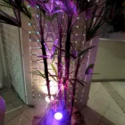 Imagem 3 da empresa JASSON SONORIZAÇÃO Som E Iluminação - Equipamentos - Aluguel em Canoas RS