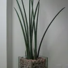 Imagem 2 da empresa LUISA  CRISTINA GABRIEL Vasos para Plantas em São Paulo SP