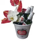 Imagem 4 da empresa OFICINA DE FLORES Floriculturas em São Paulo Brasil