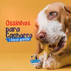 Imagem 1 da empresa PET SHOP HOBBY BICHOS Pet Shop em João Pessoa PB