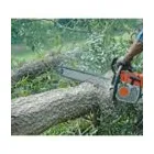 Imagem 7 da empresa PODA E CORTE DE ARVORES JARDINAGEM Paisagismo em Vila Velha ES