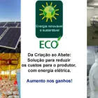 Imagem 2 da empresa PURI CAFÉ Irrigação - Sistemas em São Paulo SP