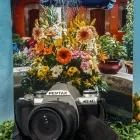 Imagem 7 da empresa TUGI PRODUÇÕES ARTÍSTICAS Fotógrafos em Novo Hamburgo RS