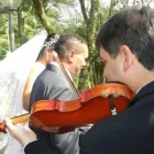 Imagem 3 da empresa VIENNATTAS ORQUESTRA E CORAL violoncelo em São Bernardo Do Campo SP