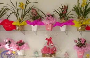 Imagem 1 da empresa FLORICULTURA CAMILLA´S FLORES ONLINE, CESTAS E PRESENTES Floriculturas - Artigos em Santos SP