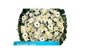 Imagem 6 da empresa FLORICULTURA E FUNERÁRIA Velórios em São Paulo SP