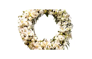 Imagem 8 da empresa FLORICULTURA E FUNERÁRIA Velórios em São Paulo SP