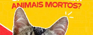 Imagem 3 da empresa CASA DOS CRIADORES - PET CENTER Pet Shop em João Pessoa PB