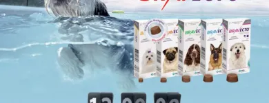 Imagem 2 da empresa COMERCIAL MUNDO ANIMAL - PET SHOP Venda De Raçoes em Belo Horizonte MG