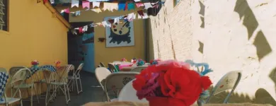 Imagem 1 da empresa ESCOLA RECRIAR EDUCAÇÃO INFANTIL Escolas Particulares em São Paulo SP