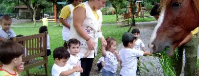 Imagem 5 da empresa ESCOLA RECRIAR EDUCAÇÃO INFANTIL Escolas Particulares em São Paulo SP