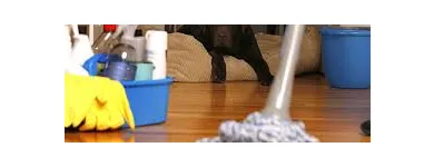 Imagem 6 da empresa FAXINA LIMPEZA HIGIENIZAÇÃO Manutenção Predial em Vila Velha ES