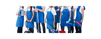 Imagem 8 da empresa FAXINA LIMPEZA HIGIENIZAÇÃO Manutenção Predial em Vila Velha ES