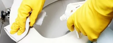 Imagem 1 da empresa FAXINA LIMPEZA HIGIENIZAÇÃO Manutenção Predial em Vila Velha ES