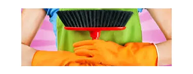 Imagem 2 da empresa FAXINA LIMPEZA HIGIENIZAÇÃO Manutenção Predial em Vila Velha ES