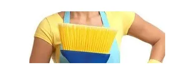 Imagem 3 da empresa FAXINA LIMPEZA HIGIENIZAÇÃO Manutenção Predial em Vila Velha ES