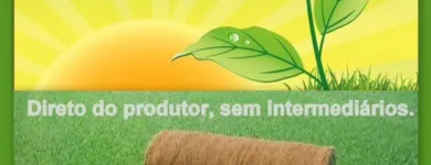Imagem 2 da empresa GRAMA Plantas em Belém PA