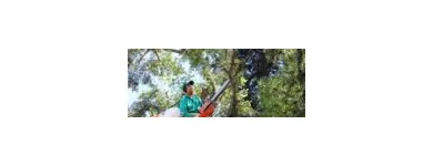 Imagem 1 da empresa PODA E CORTE DE ARVORES JARDINAGEM Paisagismo em Vila Velha ES