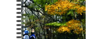 Imagem 3 da empresa PRESENTES PERSONALIZADOS Uniforme - Atacadista em São Paulo SP