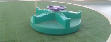 Imagem 6 da empresa REI DOS  CAPACHOS Tatame em Brasília DF